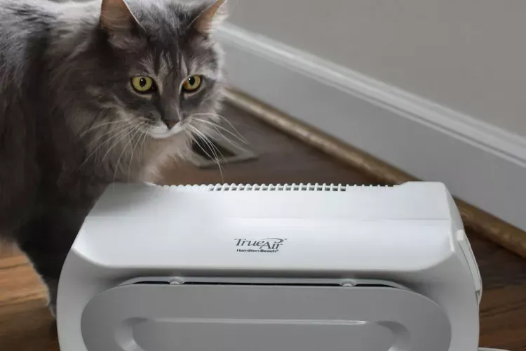 Best Air Purifiers for Pets 2026: Complete Guide & Reviews
