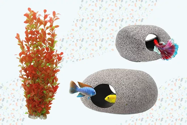 Best Aquarium Decorations 2026: Complete Guide & Reviews