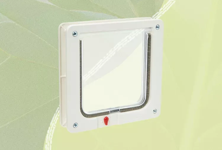 Best Cat Doors 2026: Complete Guide & Reviews