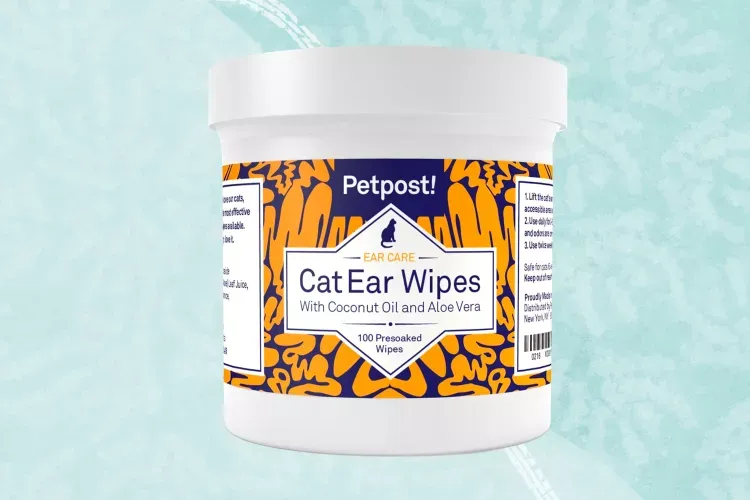 Best Ear Mite Treatment for Cats 2026: Complete Guide & Reviews