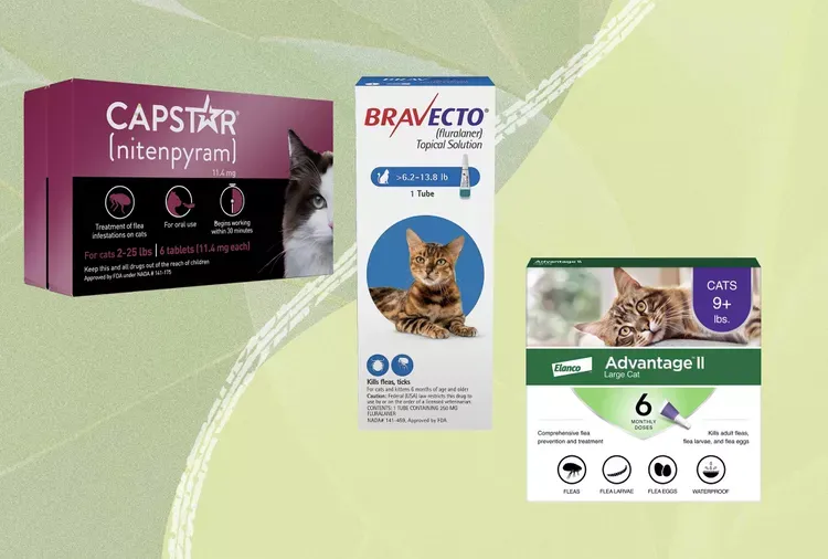 Best Flea Treatments for Cats 2026: What Actually Works