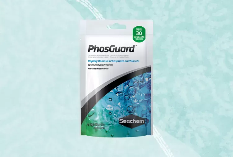 Best Phosphate Removing Products 2026: Complete Guide & Reviews