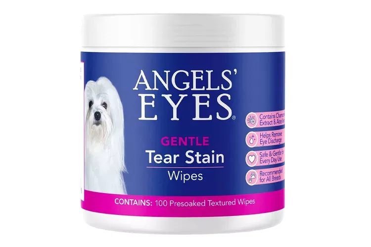 Best Dog Tear Stain Removers 2026: Complete Guide & Reviews