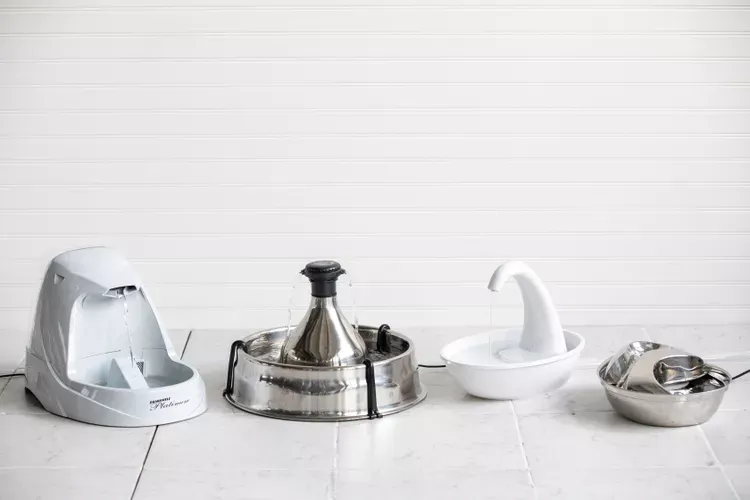 Best Automatic Water Dispensers for Cats 2026: Complete Guide & Reviews